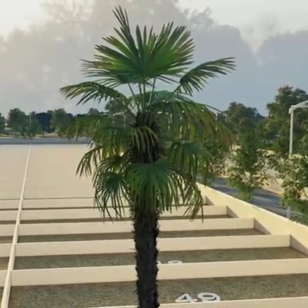 Ganesh Vihar Extension – 55 Bigha | JDA Approved Township